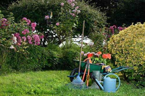 Customer complaint review for a tree surgery service