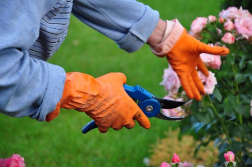 Tree pruning service in Elephant and Castle for urban residential properties